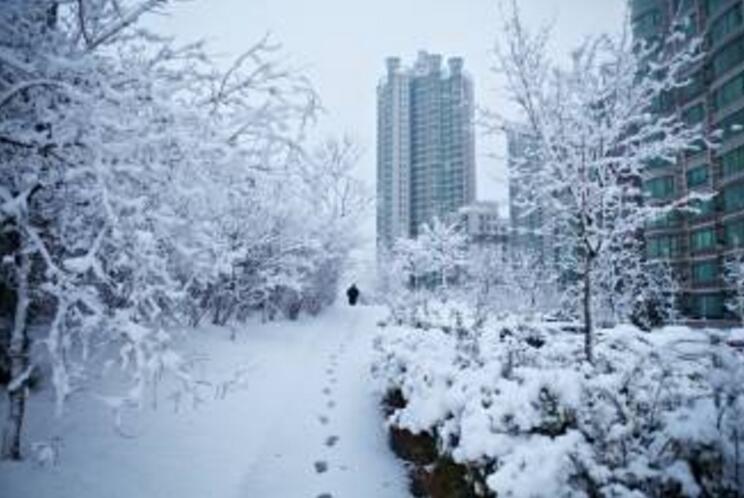 20180407093085288528 (1).jpg